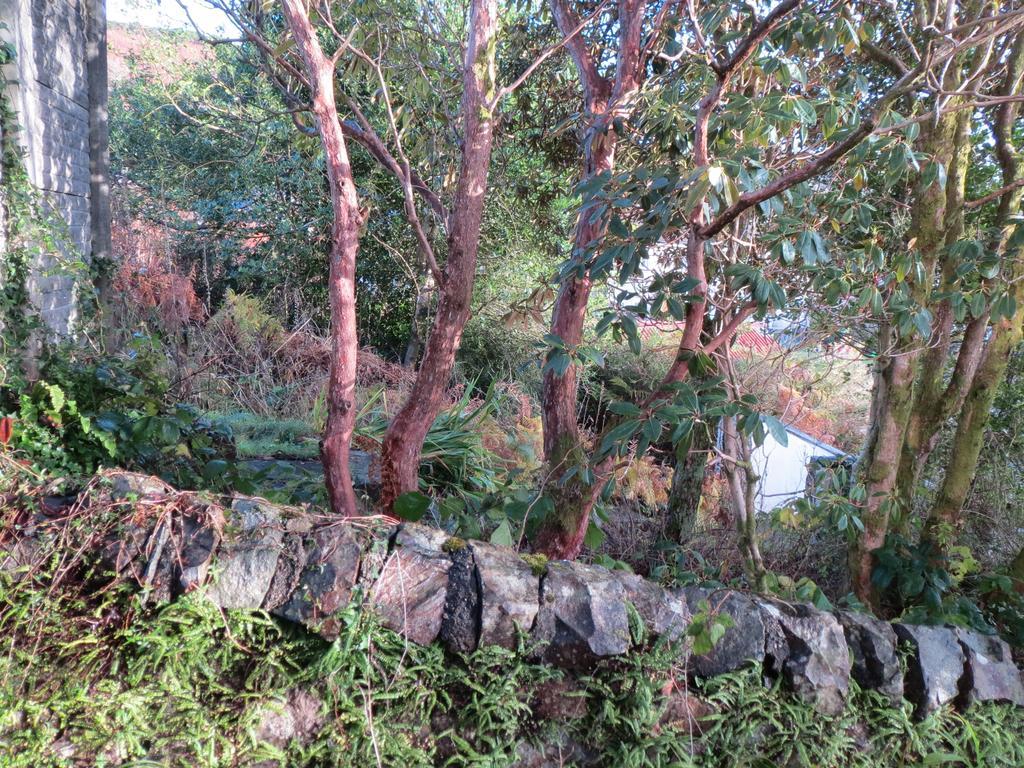 Elmbank Garden Apartment Oban Camera foto